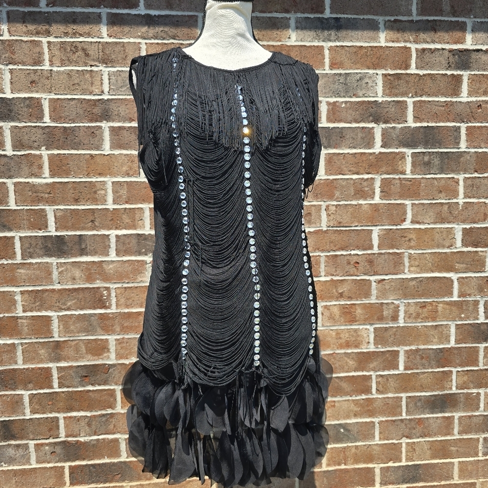 Fringe Flapper Dress With Crystals - Picture 2 of 10